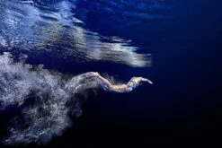 Funkita - Head First - Ladies Diamond Back One Piece -Funkita Swimsuit Discount Store funkita head first ladies diamond back one piece 10