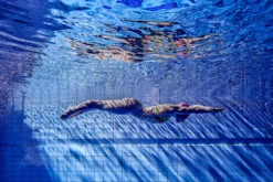 Funkita - Interference - Ladies Diamond Back One Piece -Funkita Swimsuit Discount Store funkita interference ladies diamond back one piece 7