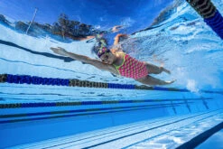 Funkita - Lady Birdie - Ladies Single Strap One Piece -Funkita Swimsuit Discount Store funkita lady birdie ladies single strap one piece 11