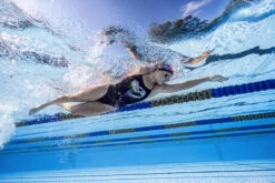 Funkita - Sexy Rexy - Ladies Strapped In One Piece -Funkita Swimsuit Discount Store funkita sexy rexy ladies strapped in one piece 14