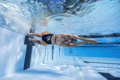 Funkita - Sexy Rexy - Ladies Strapped In One Piece -Funkita Swimsuit Discount Store funkita sexy rexy ladies strapped in one piece 15